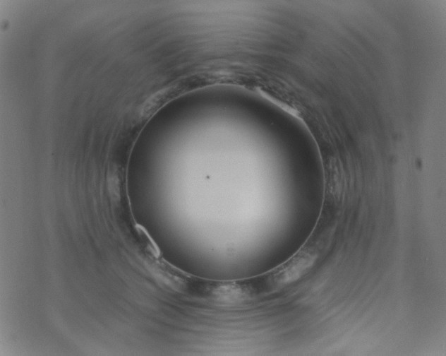 X0000070430562200606231921