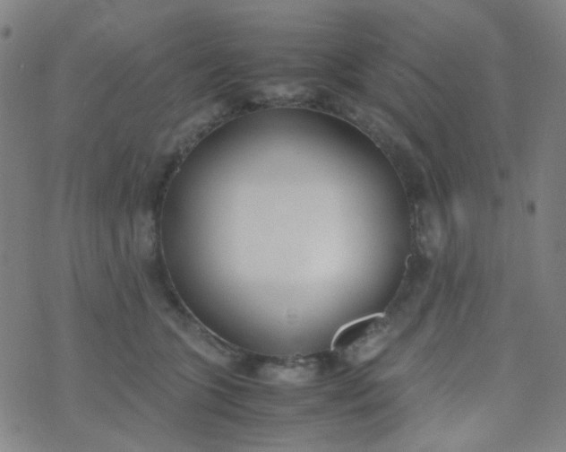 X0000070430563200606231921