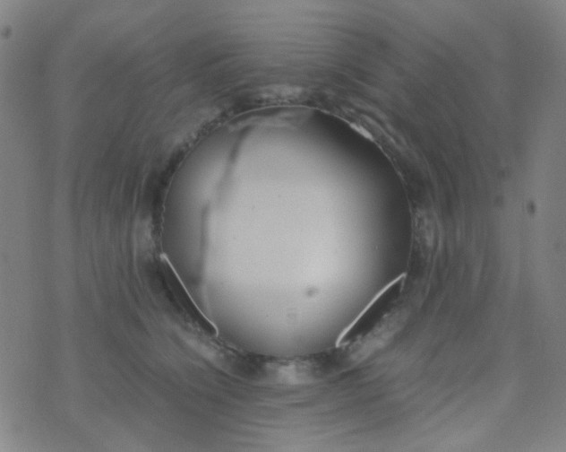 X0000070430564200606231921