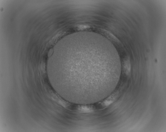 X0000070430565200606231921