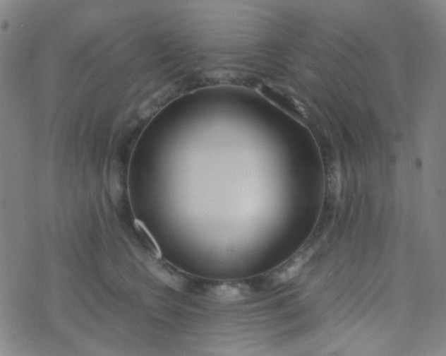 X0000070430566200606231921