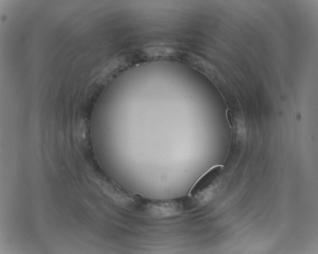 X0000070430567200606231921