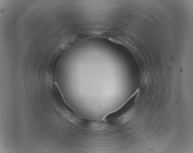 X0000070430568200606231921