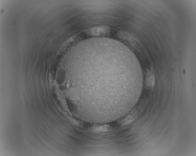 X0000070430569200606231921