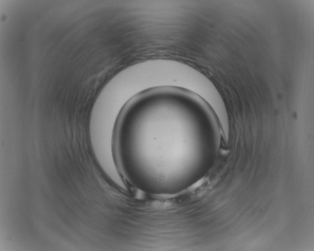 X0000070430570200606231921