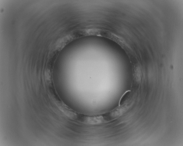 X0000070430571200606231921