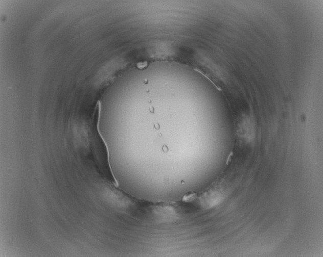 X0000070430572200606231921