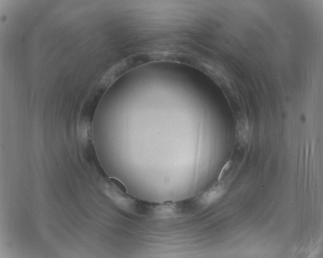 X0000070430574200606231921