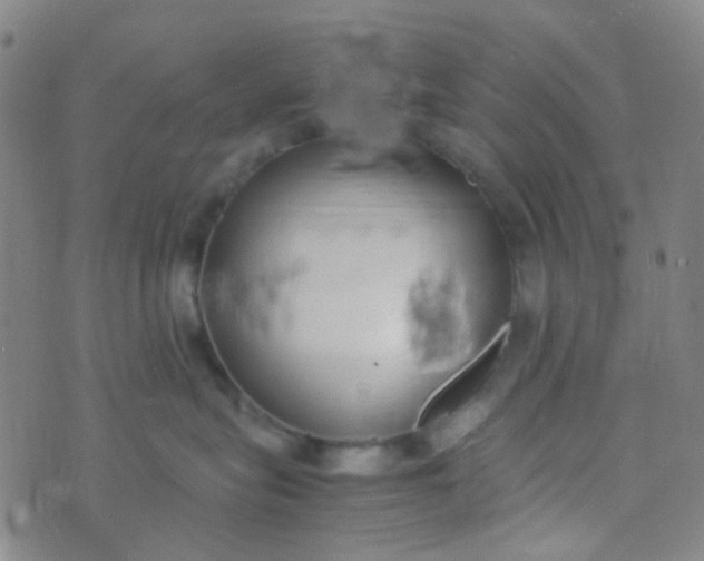 X0000070430575200606231921