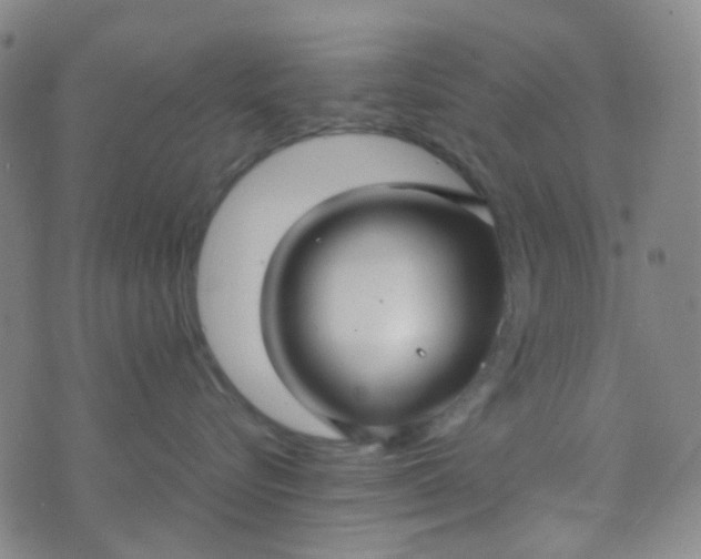 X0000070430576200606231921