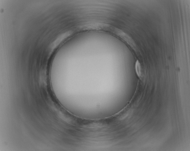 X0000070430578200606231920