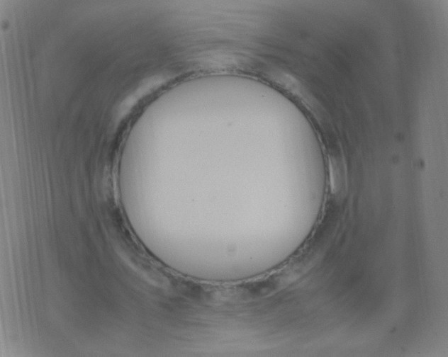 X0000070430579200606231920