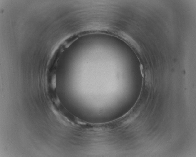 X0000070430580200606231920