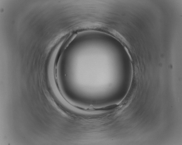 X0000070430581200606231920