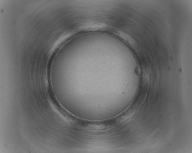 X0000070430582200606231920