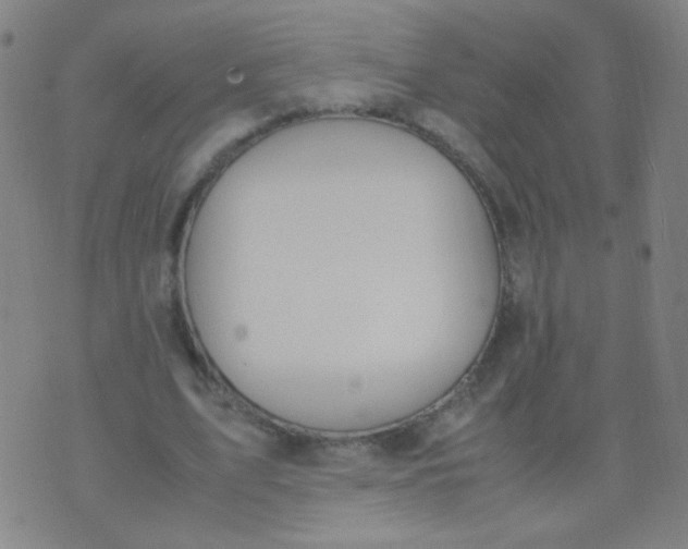 X0000070430583200606231920