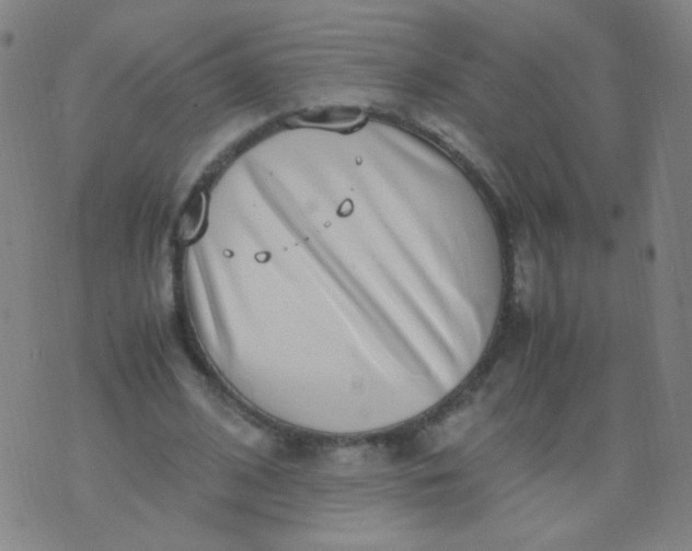 X0000070430584200606231920