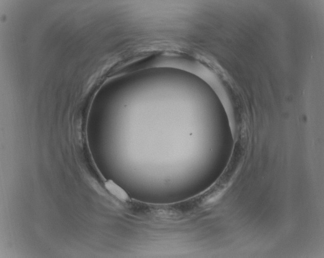 X0000070430585200606231920