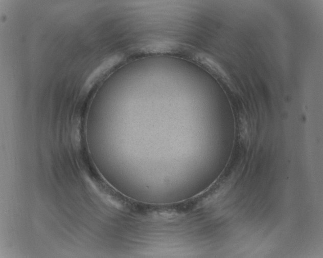 X0000070430586200606231920