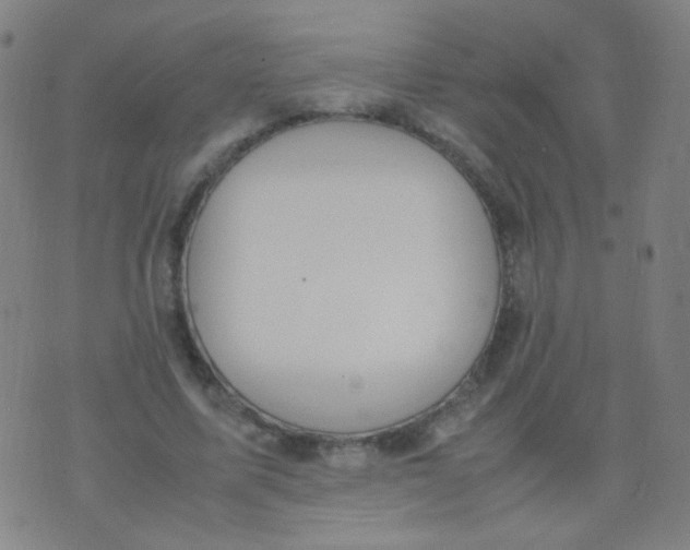 X0000070430587200606231920