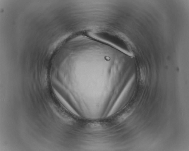 X0000070430588200606231920