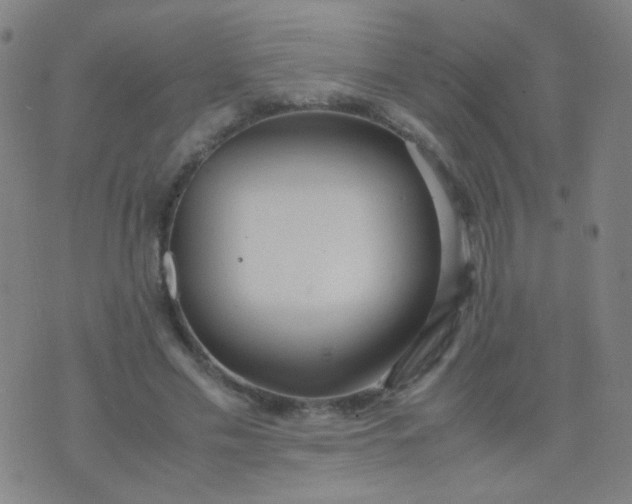 X0000070430589200606231920