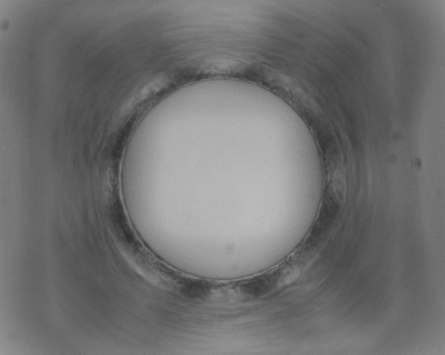 X0000070430591200606231920