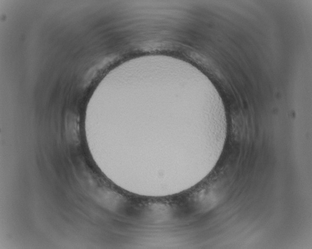 X0000070430592200606231920