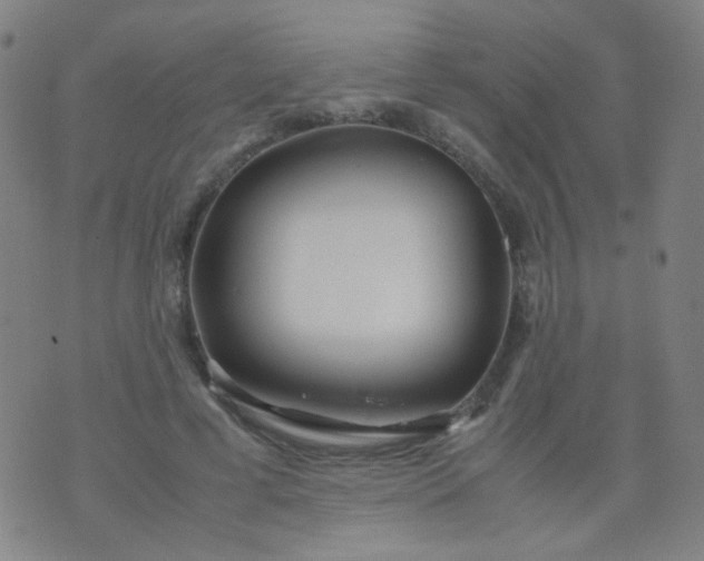 X0000070430593200606231920