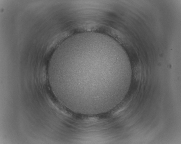 X0000070430594200606231920