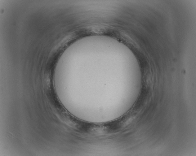 X0000070430595200606231920