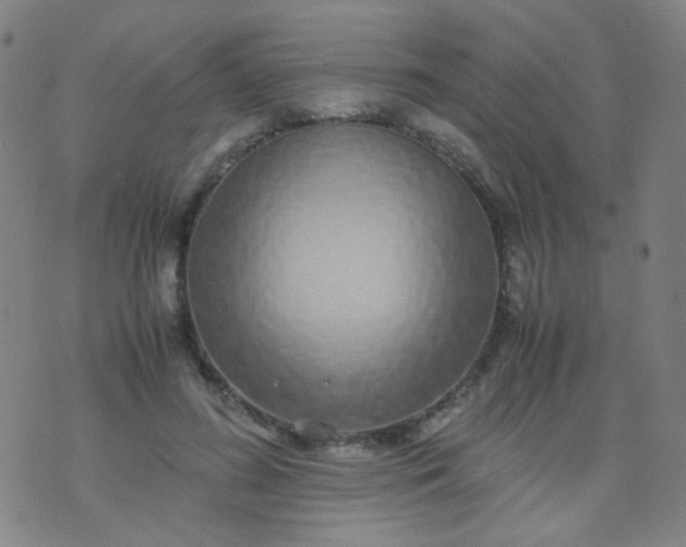 X0000070430596200606231920