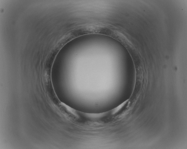 X0000070430597200606231920