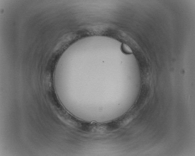 X0000070430599200606231920