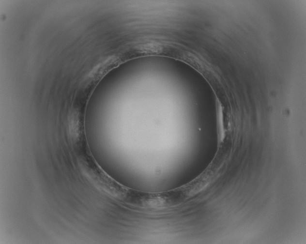 X0000070430600200606231920