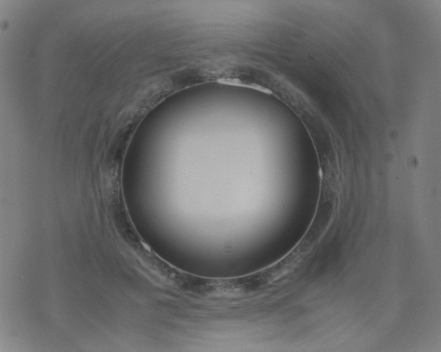 X0000070430601200606231920