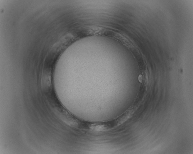 X0000070430602200606231920