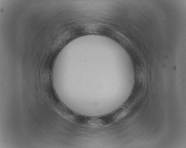 X0000070430603200606231920