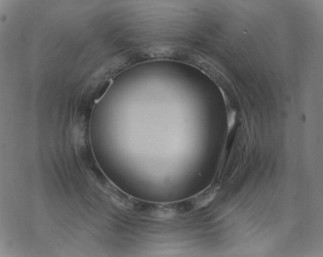 X0000070430604200606231920