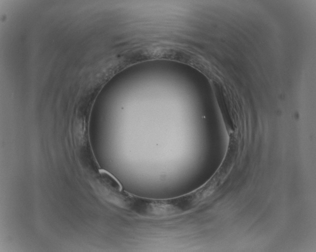 X0000070430605200606231920