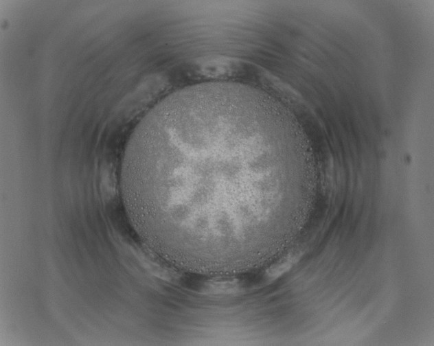 X0000070430606200606231920