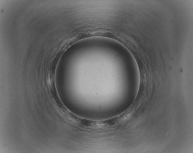 X0000070430607200606231920