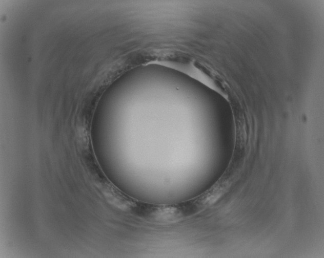 X0000070430609200606231920