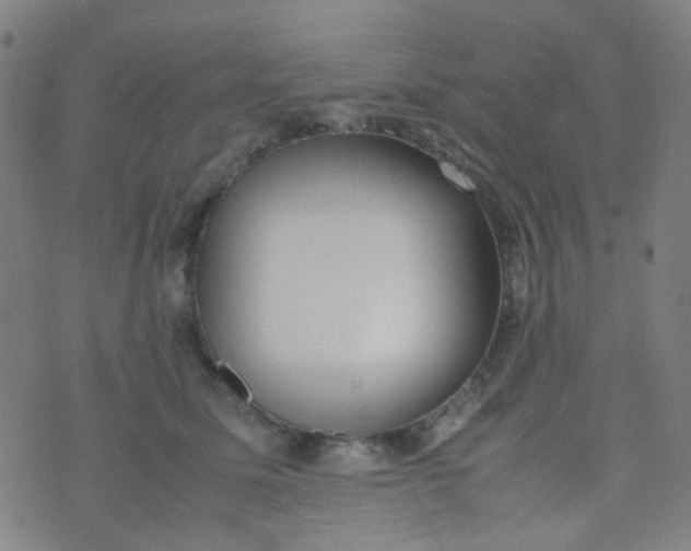 X0000070430611200606231920