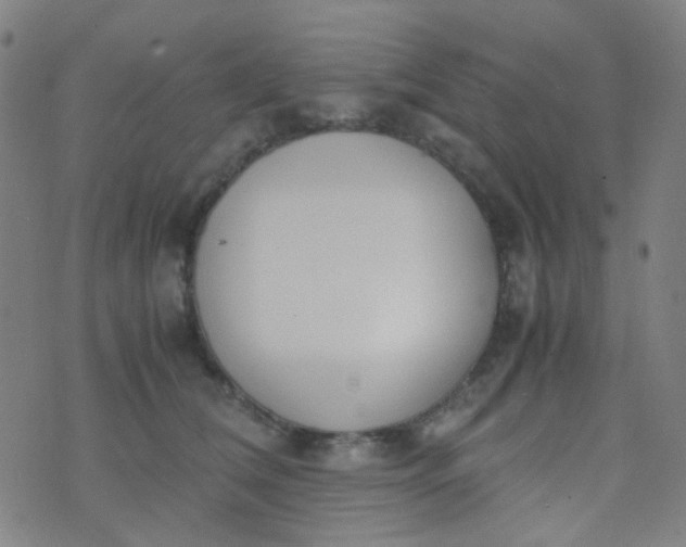 X0000070430612200606231920