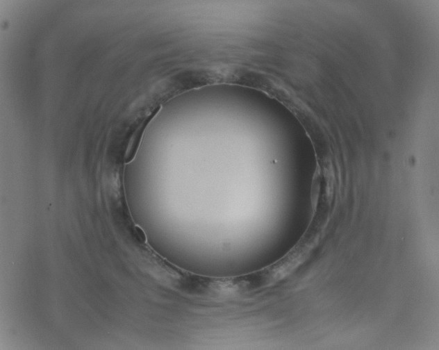 X0000070430613200606231920