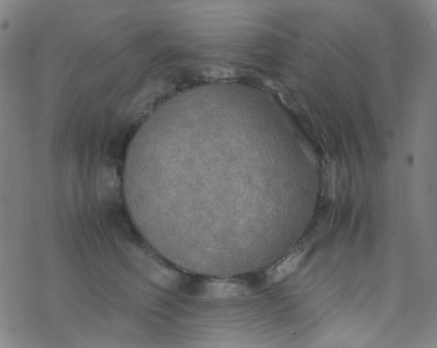 X0000070430614200606231920