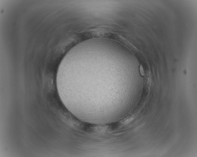 X0000070430615200606231919