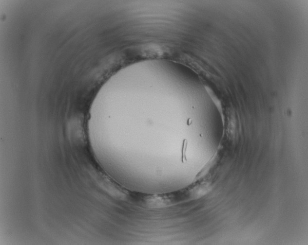 X0000070430616200606231919