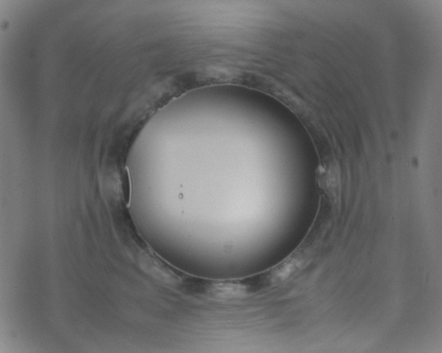 X0000070430617200606231919